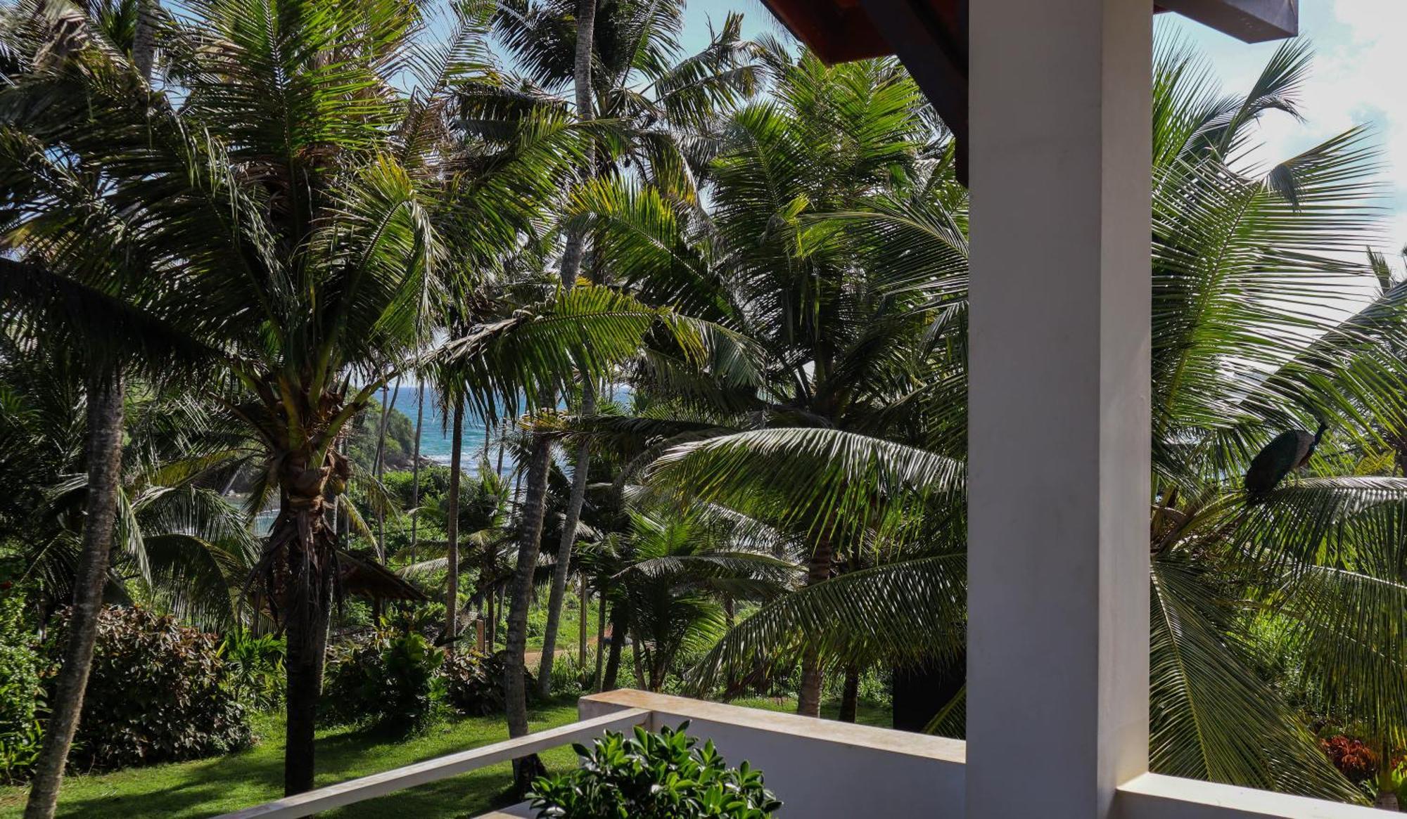 Singhe House Hotel Dikwella Luaran gambar