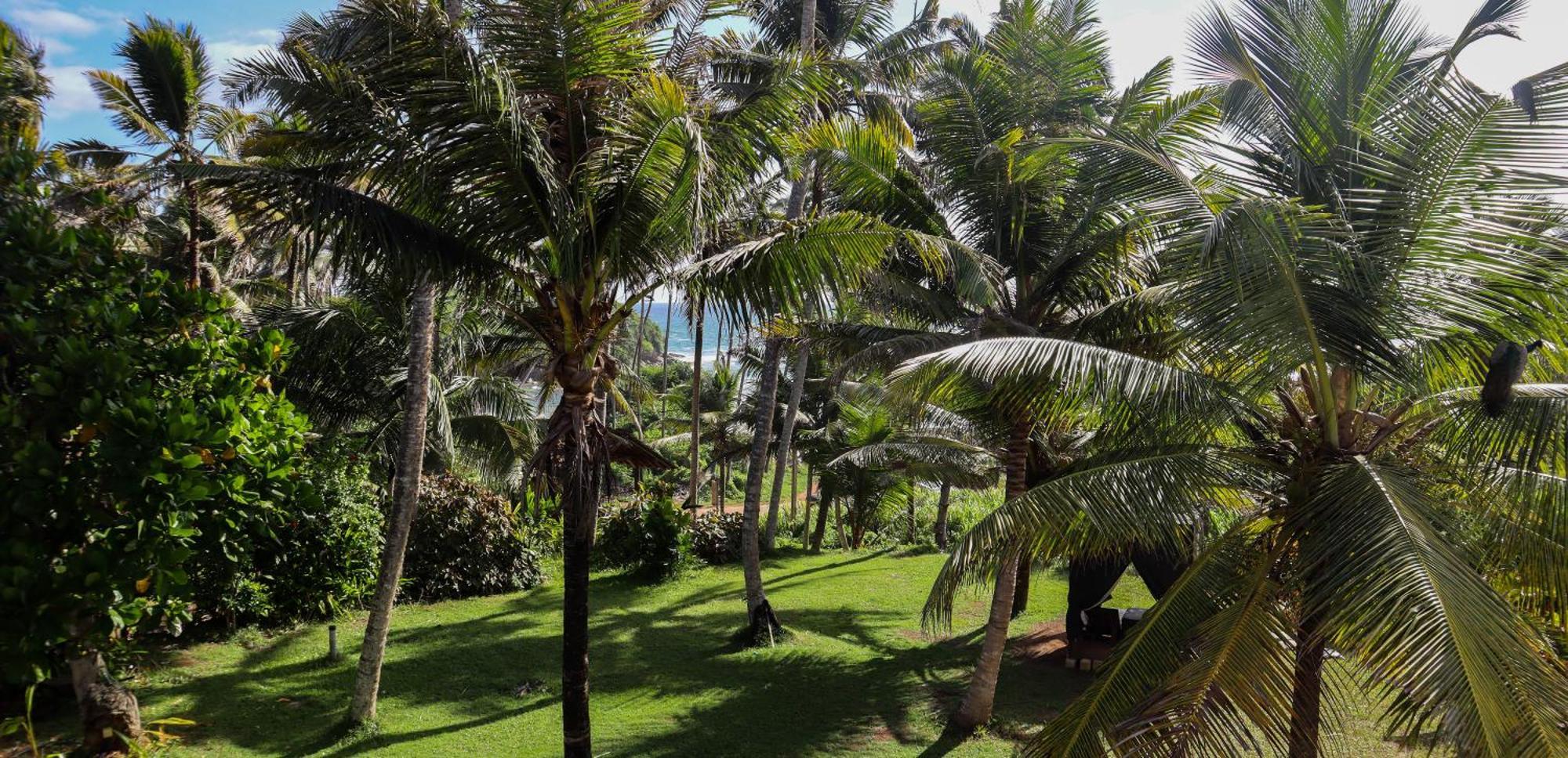 Singhe House Hotel Dikwella Luaran gambar
