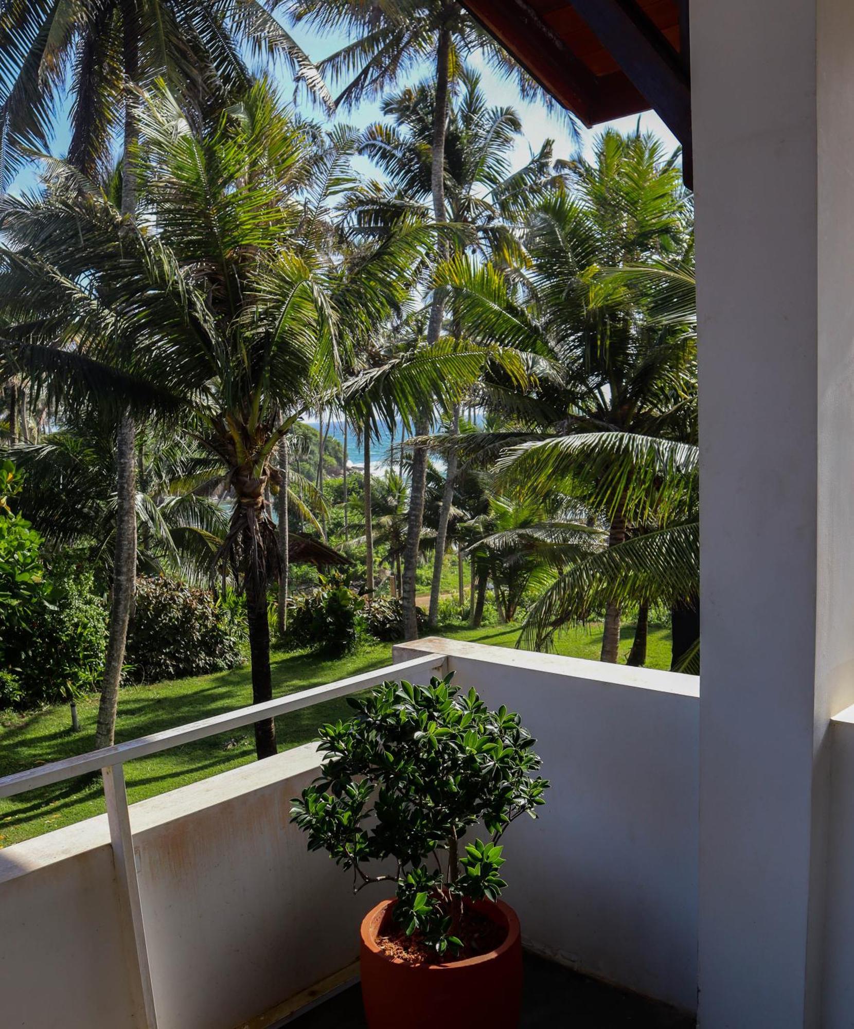 Singhe House Hotel Dikwella Luaran gambar