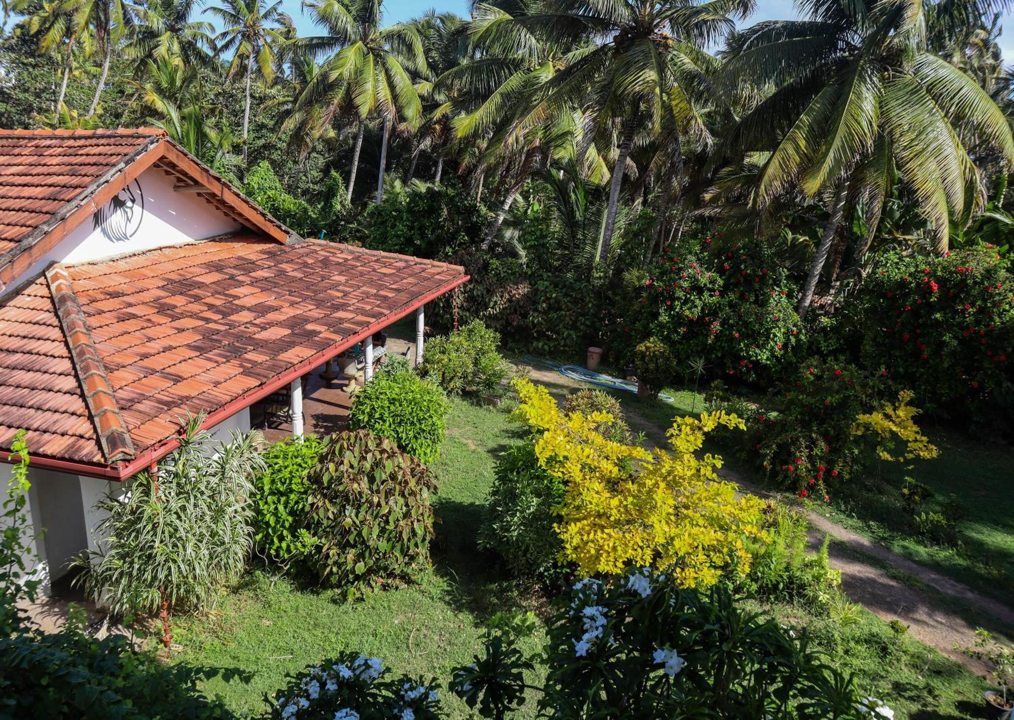 Singhe House Hotel Dikwella Luaran gambar