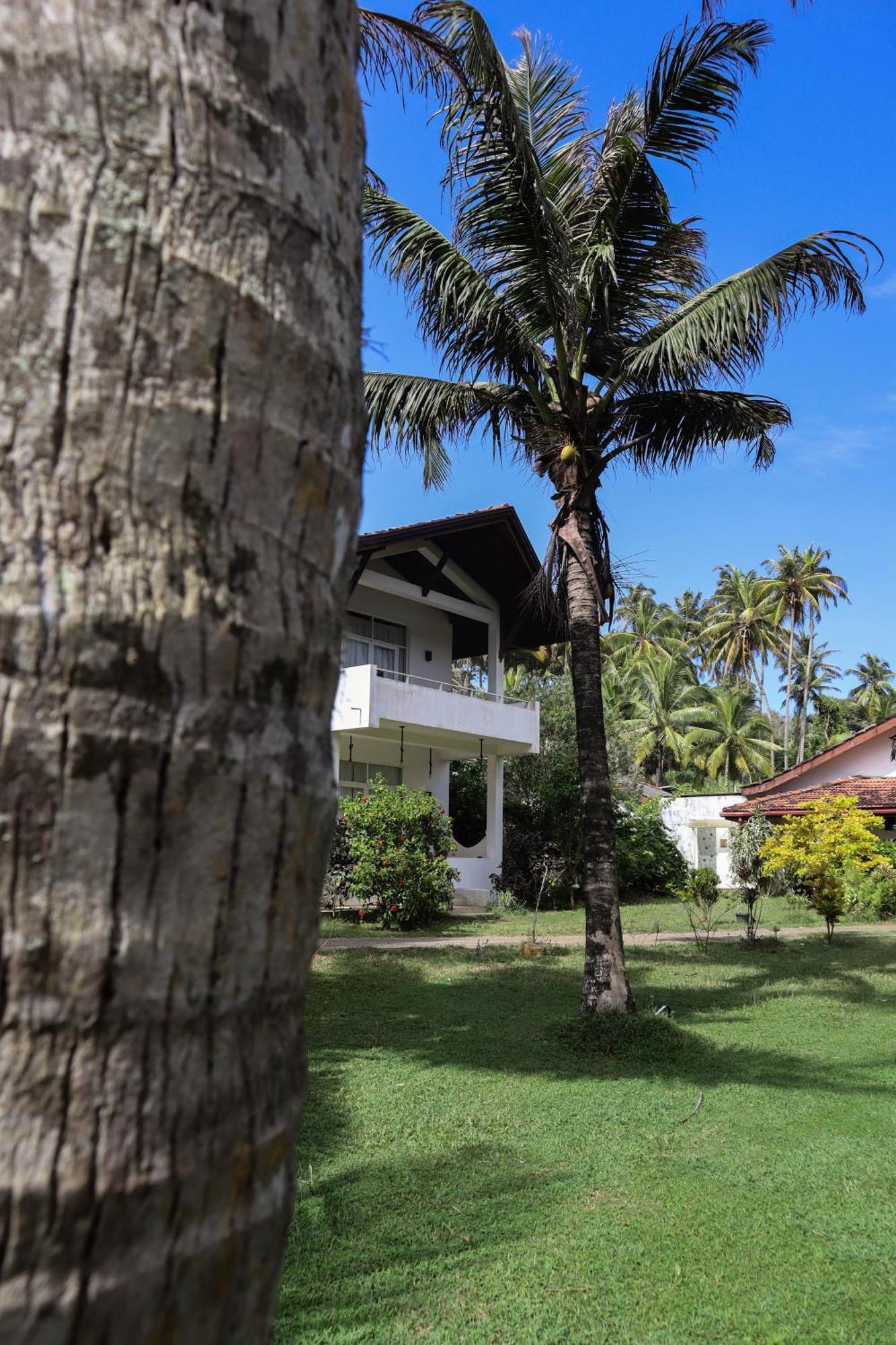 Singhe House Hotel Dikwella Luaran gambar